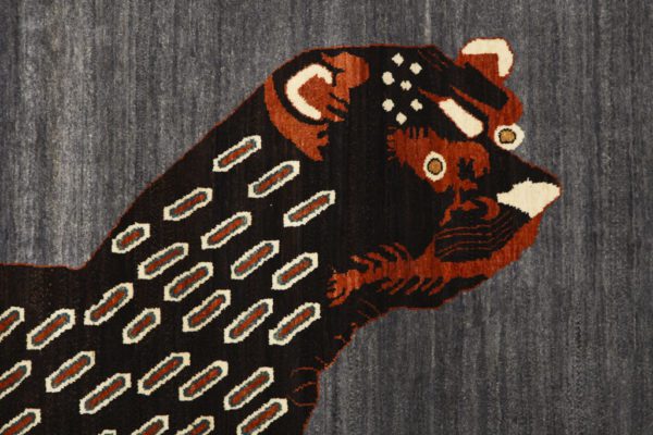 Leopard Carpet face detail photo
