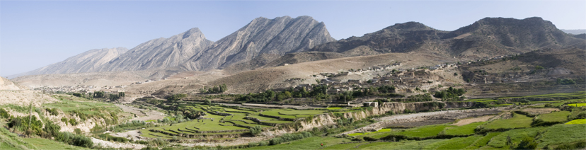 Lush green verdant rice paddies in rustic hills of the Ghashghai region of Persia in present day Iran for organic raw materials