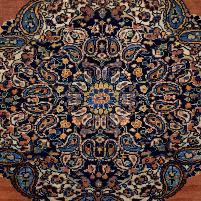 Antique Haji Jalili Carpet side border detail photo up close center medallion detail photo
