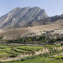 Lush green verdant rice paddies in rustic hills of the Ghashghai region of Persia in present day Iran for organic raw materials